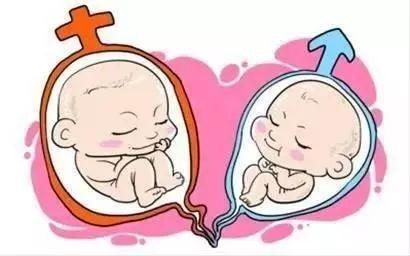 中国供卵代孕中心