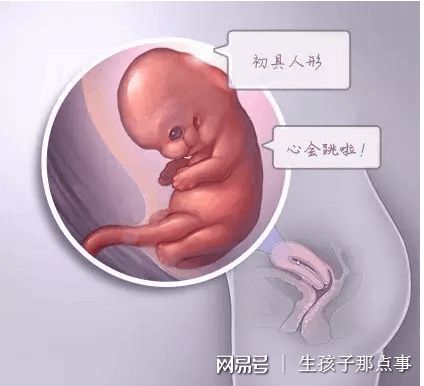無精症